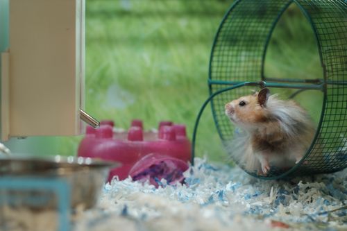 Back to the hamster wheel (Image: [Matt Bero](https://unsplash.com/photos/wMXetxdXeZM))